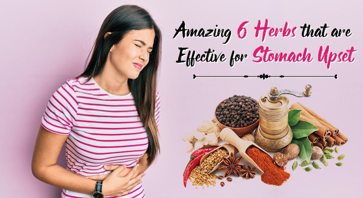 Amazing 6 Herbs that are Effective for Stomach Upset