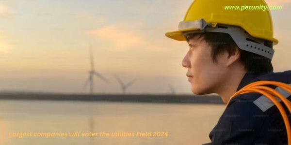 Largest companies will enter the utilities Field 2024