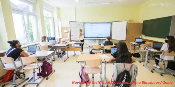 Navigating the Virtual Classroom: Pima Blackboard Guide