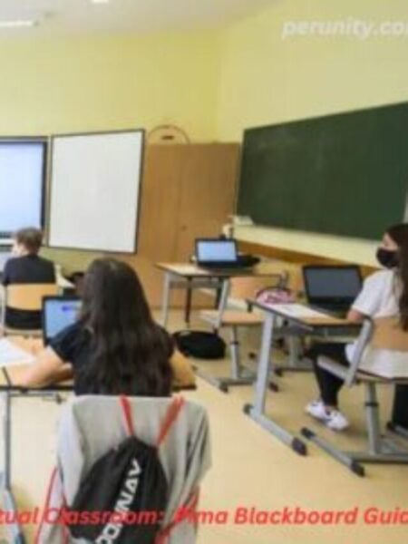 Navigating The Virtual Classroom: Pima Blackboard Guide